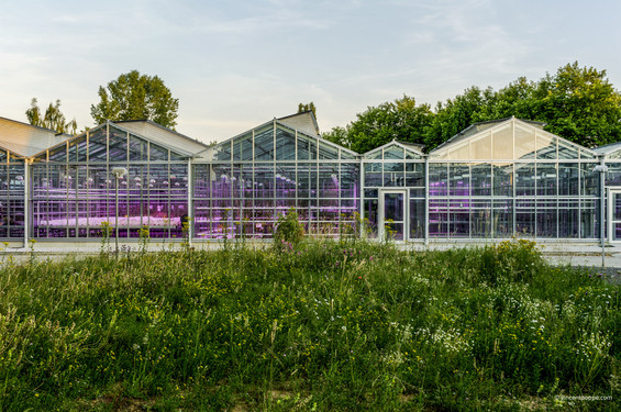 Hi-Tech Greenhouses