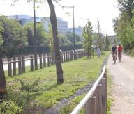 Une promenade le long de l'autoroute