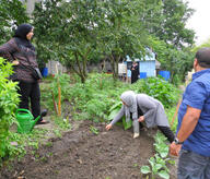 Use of the vegetable garden