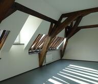 lighting attic via the coyau