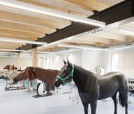 ENVA - salle de classe