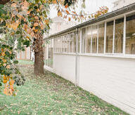 « Le petit jardin oublié et arboré au cœur du projet d'études de l'Atelier Inkermann par Atelier2F architecture. »