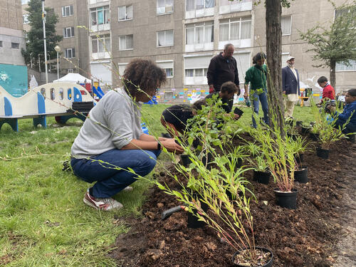 Participative workshops of planting