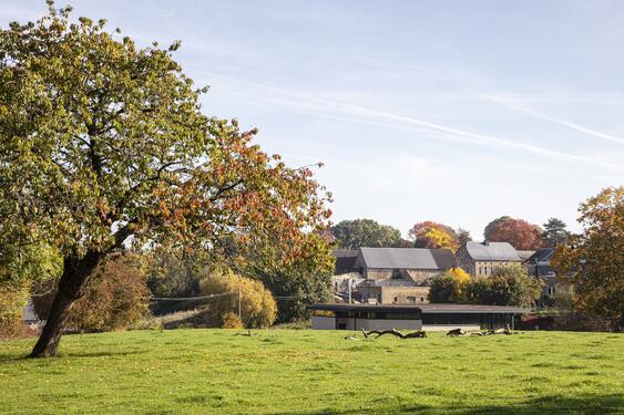 View from the country field