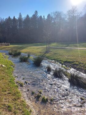 Atelier Paysage - Aménagement d'une nouvelle zone humide au domaine de Chevetogne