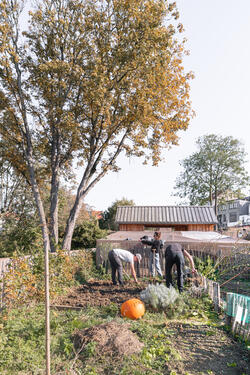 Jardin Félix Hap avec vue sur le potager