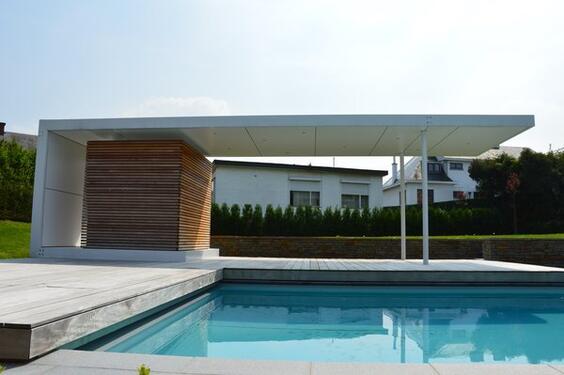 Swimming pool and Pool house