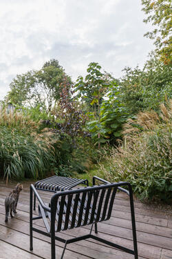 Terrasse avec chat