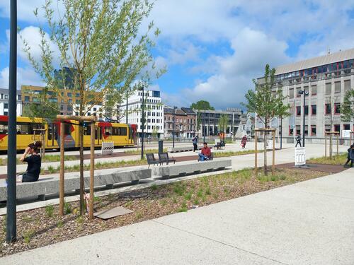 Le calepinage du revêtement de sol, les plantations et même les voies du tram s’inscrivent dans une composition graphique qui séquence l’espace urbain sans conditionner les parcours des usagers.