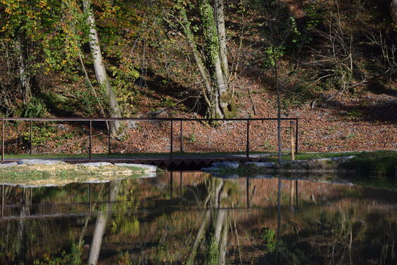 Atelier Paysage Parc du Castel