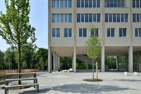 Ecole verticale : vue du préau couvert