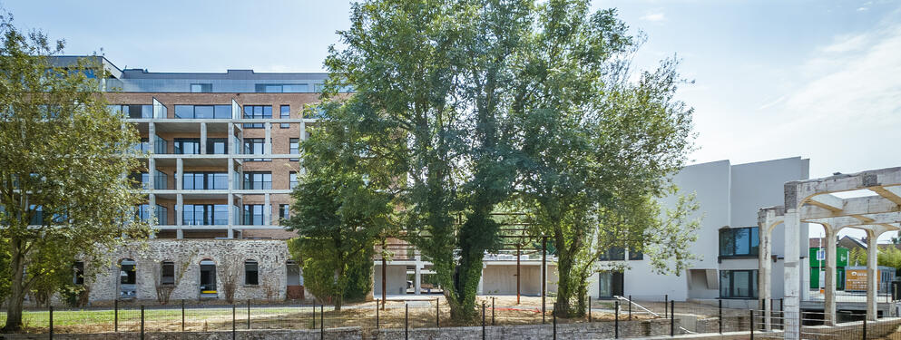 immeuble de logements et lofts