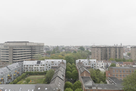 Grande Haie - Vue aérien vers l'intérieur d'ilot