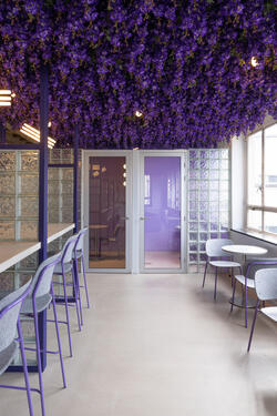 Be Central Espace collaboratif avec plafond végétal violet par l'architecte d'intérieur Maxime De Campenaere