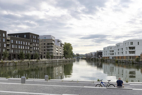 Rives ardentes