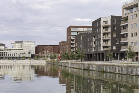 Rives ardentes