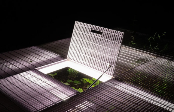 Hermine Demaël + Stephen Zimmerer, "Peek-a-Boo" (detail), 2025. Photo credit: Martin Bond