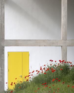 halle Perret