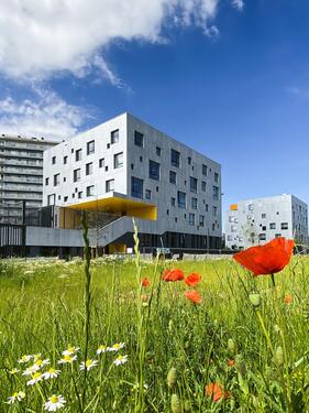 B612 Architectes