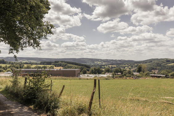 La Cad'rine vue de dos fait face aux paysages malmédiens