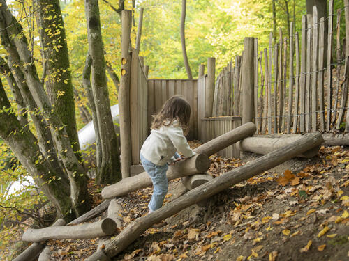 Zone humide de Chevetogne