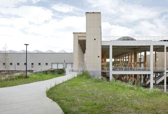 Filip Dujardin