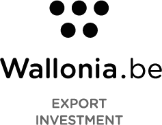 Wallonia Export Investment