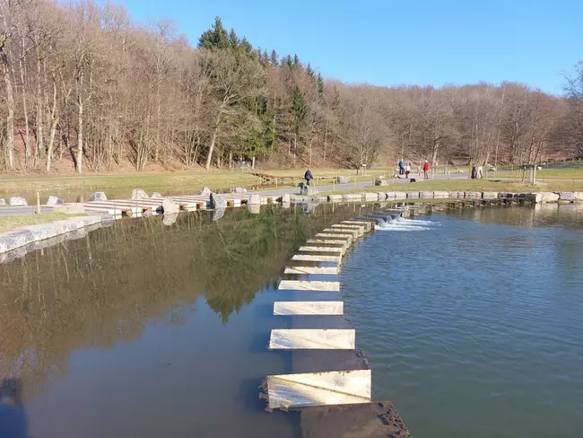 Atelier Paysage - Aménagement d'une nouvelle zone humide au domaine de Chevetogne